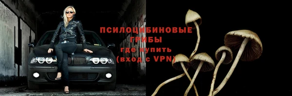 прущие грибы Балахна