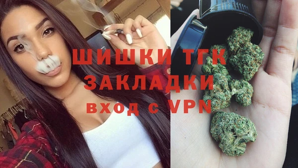 прущие грибы Балахна