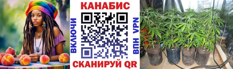 Бошки Шишки Ganja  Белёв 